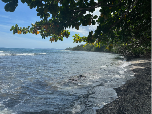 Sulawesi, 苏拉威西-gallery-0
