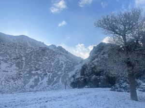Mongolia 蒙古-gallery-16