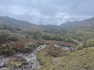 Eastern Himalayas 印度控制的南藏-gallery-42