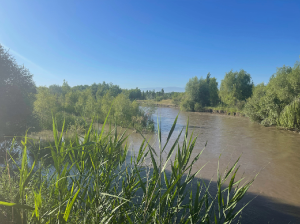 Kazakhstan 哈萨克斯坦-gallery-17