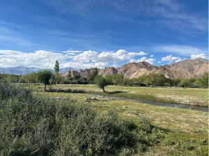Ladakh, 拉达克-gallery-40