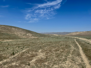 Kazakhstan 哈萨克斯坦-gallery-36