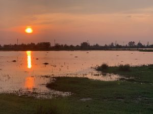 Hainan Province 海南省-gallery-