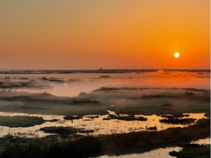 Jiangxi Province 江西省-gallery-12