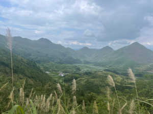 Guangdong Province 广东省-gallery-27