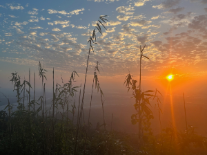 The Himalayas, 喜马拉雅山-gallery-48