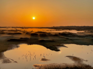 Jiangxi Province 江西省-gallery-27