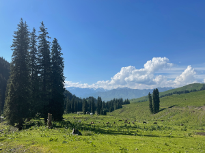 Kazakhstan 哈萨克斯坦-gallery-39