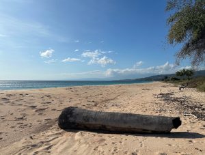 Timor-Leste 东帝汶-gallery-30