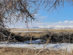 Kyrgyzstan 吉尔吉斯斯坦-gallery-39