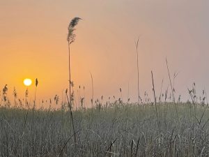 Kyrgyzstan 吉尔吉斯斯坦-gallery-56