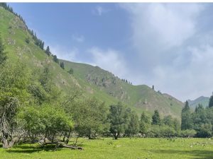 Kyrgyzstan 吉尔吉斯斯坦-gallery-62