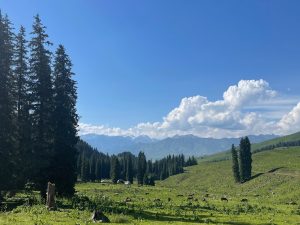 Kyrgyzstan 吉尔吉斯斯坦-gallery-26