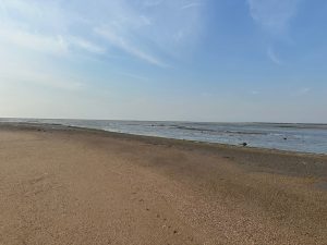 Gurajarat Coastline-gallery-54
