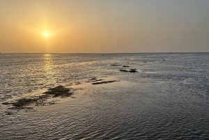 Gujarat Coastline-gallery-40