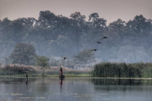 West Bengal State, Jalpaiguri District (© William Farris)-gallery-92
