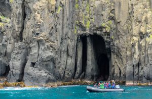 Chatham Islands, 查塔姆群岛-gallery-25