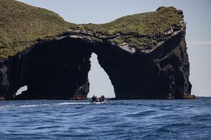 Antipodes Islands, 安蒂波德斯群岛-gallery-30