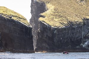 Antipodes Islands, 安蒂波德斯群岛-gallery-23