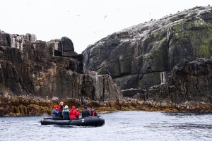 Bounty Islands, 赏金群岛-gallery-21