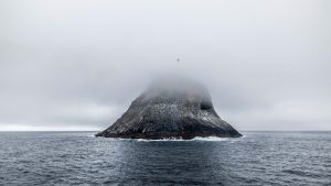 Chatham Islands, 查塔姆群岛-gallery-13