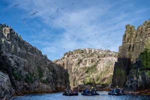 Bounty Islands, 赏金岛-gallery-8