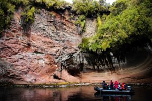 Auckland Islands, 奥克兰群岛-gallery-33
