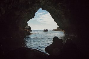 Snares Islands, 斯内尔斯群岛-gallery-32