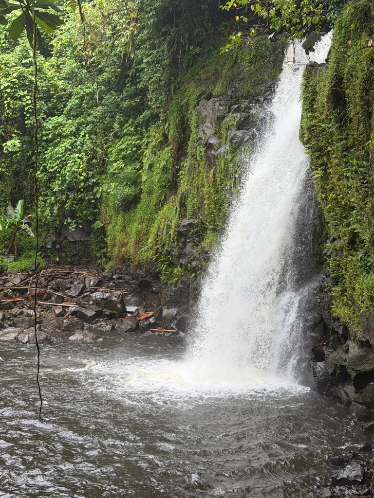 FSM (Chuuk) 密克罗尼亚联邦  (4) Image