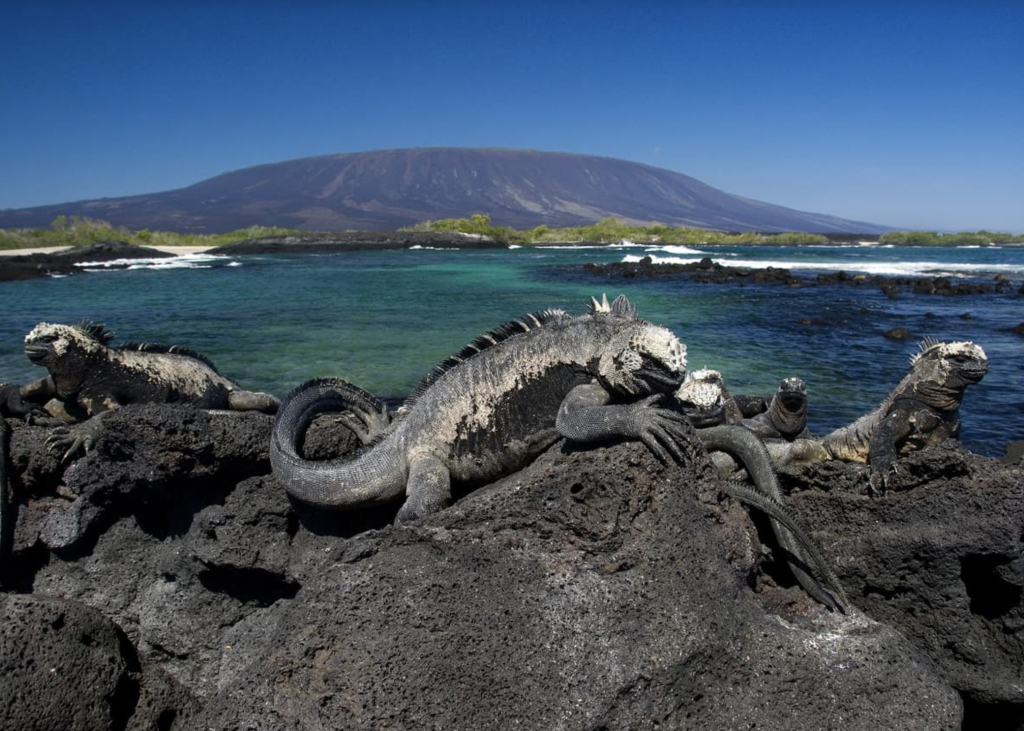 Galagapos Landscape (3), 加拉帕戈斯群岛风光