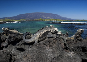 Galagapos Landscape (3), 加拉帕戈斯群岛风光 Thumbnail